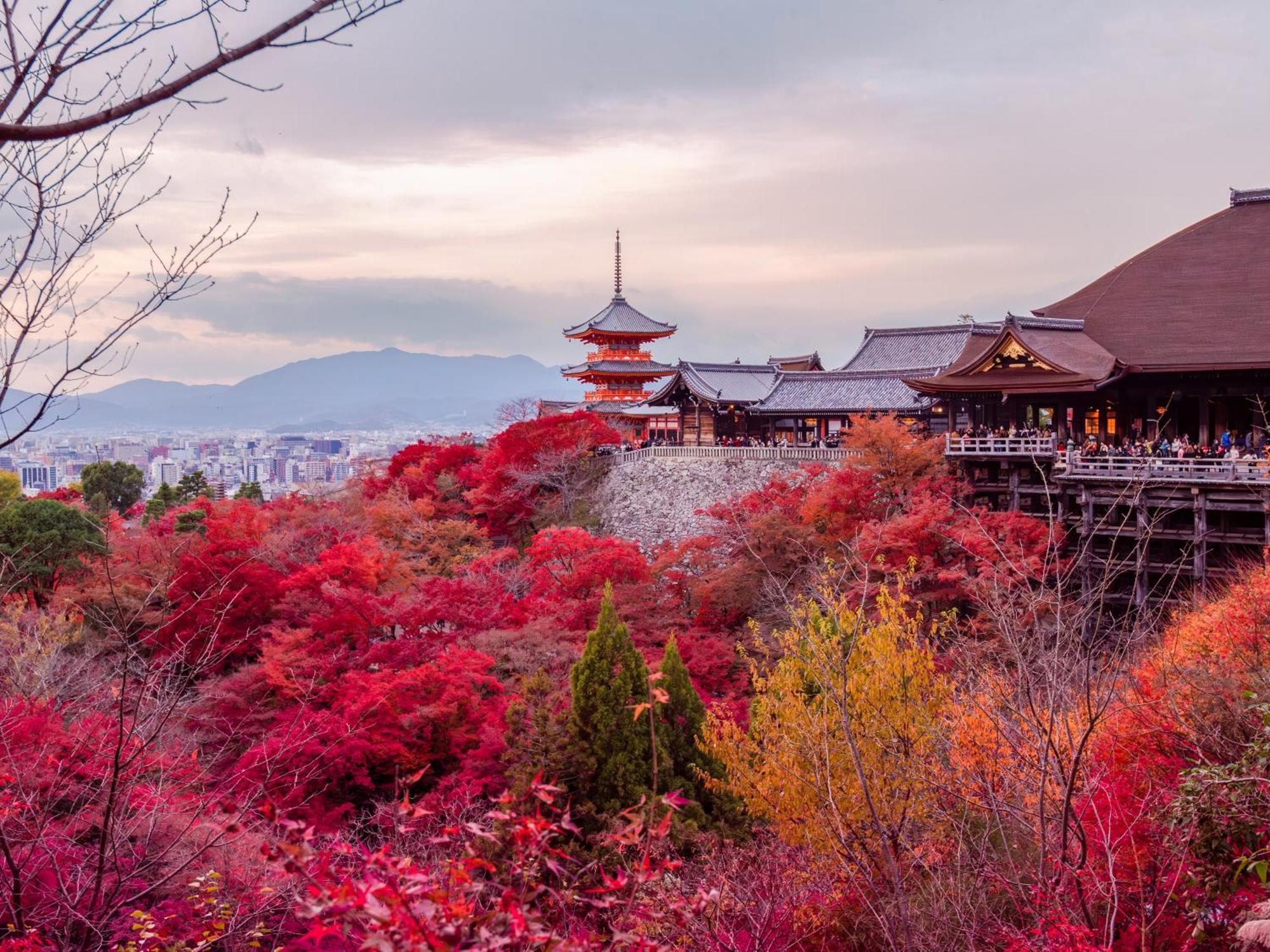 Stitch Hotel Kyoto Eksteriør bilde